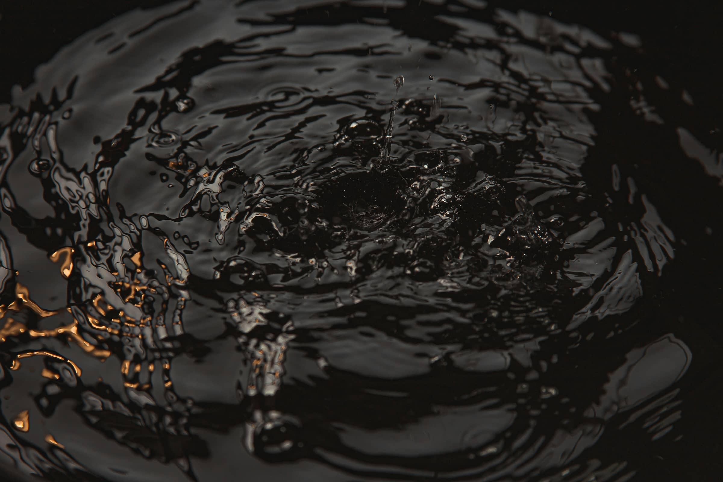 Illustration of the bidirectional gut-brain connection